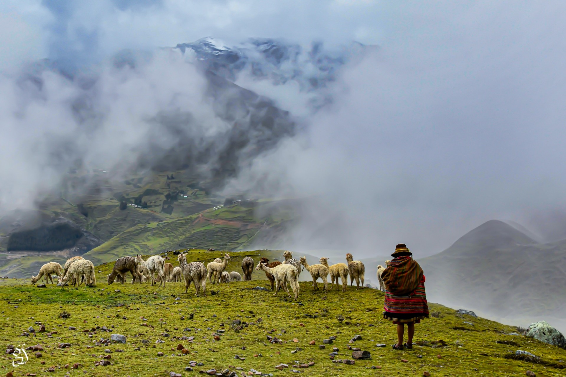 Shepherdess in the Highlands of Peru by Gautam Jain