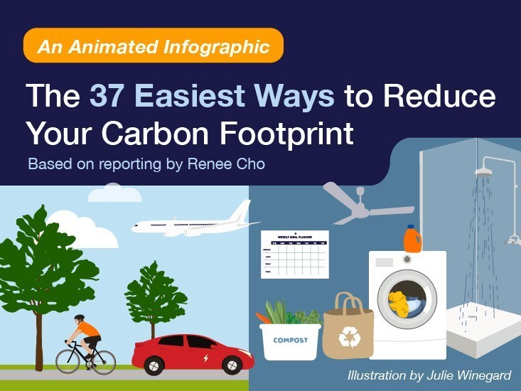 The 37 Easiest Ways to Reduce Your Carbon Footprint: Animated Infographic)