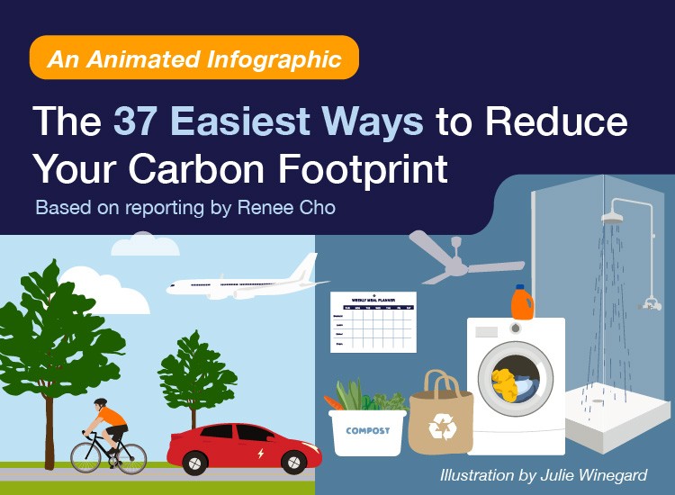 The 37 Easiest Ways to Reduce Your Carbon Footprint