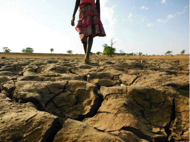 A girl traverses her family’s dry peanut field in Kaolack, Senegal. Increasingly frequent and severe droughts threaten not only the food security but the nutrition of women and girls in Senegal. Credit: Amanda Grossi, IRI