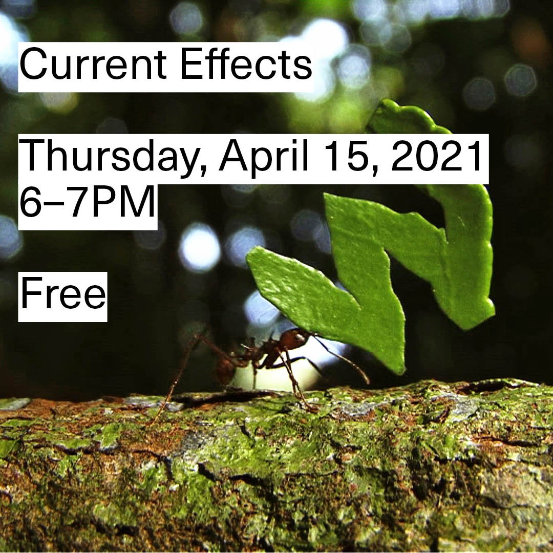 Current Effects