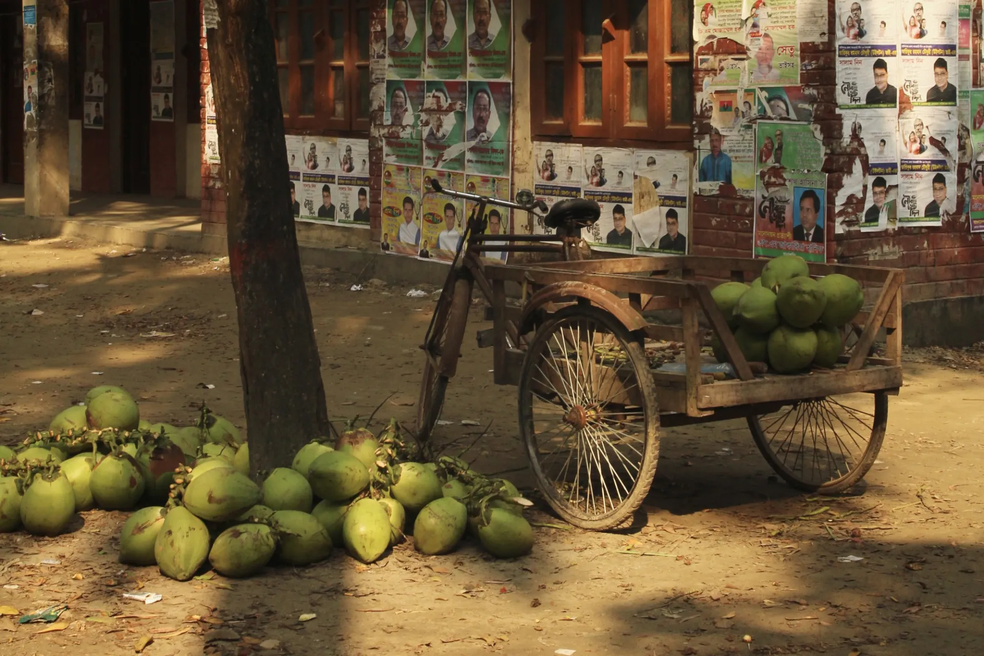 Bangladesh Coconut Cart   Dannie Dinh.jpg