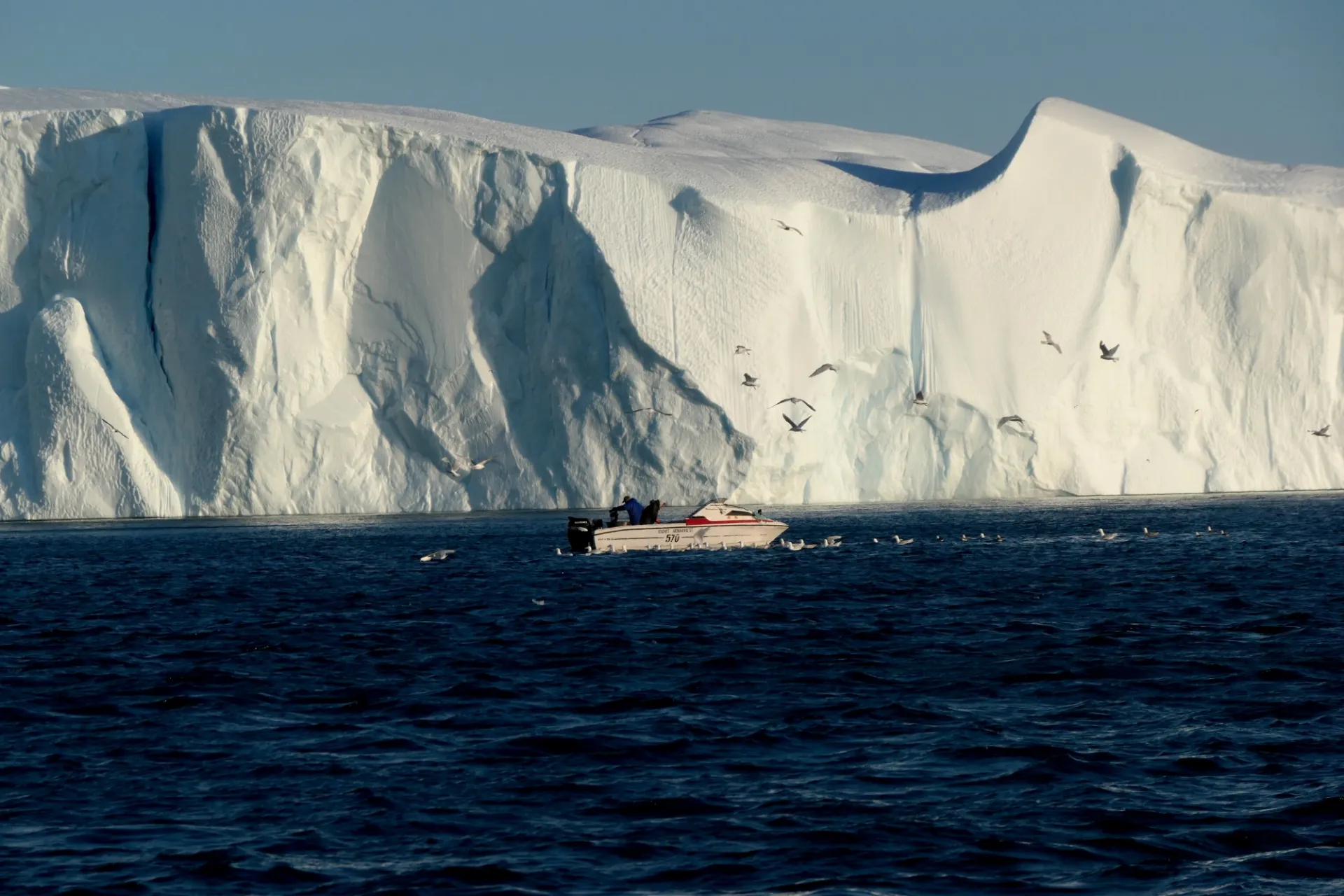 Fisher Boat With Seagulls In Front Of Iceberg   Tobias Schneider.JPG