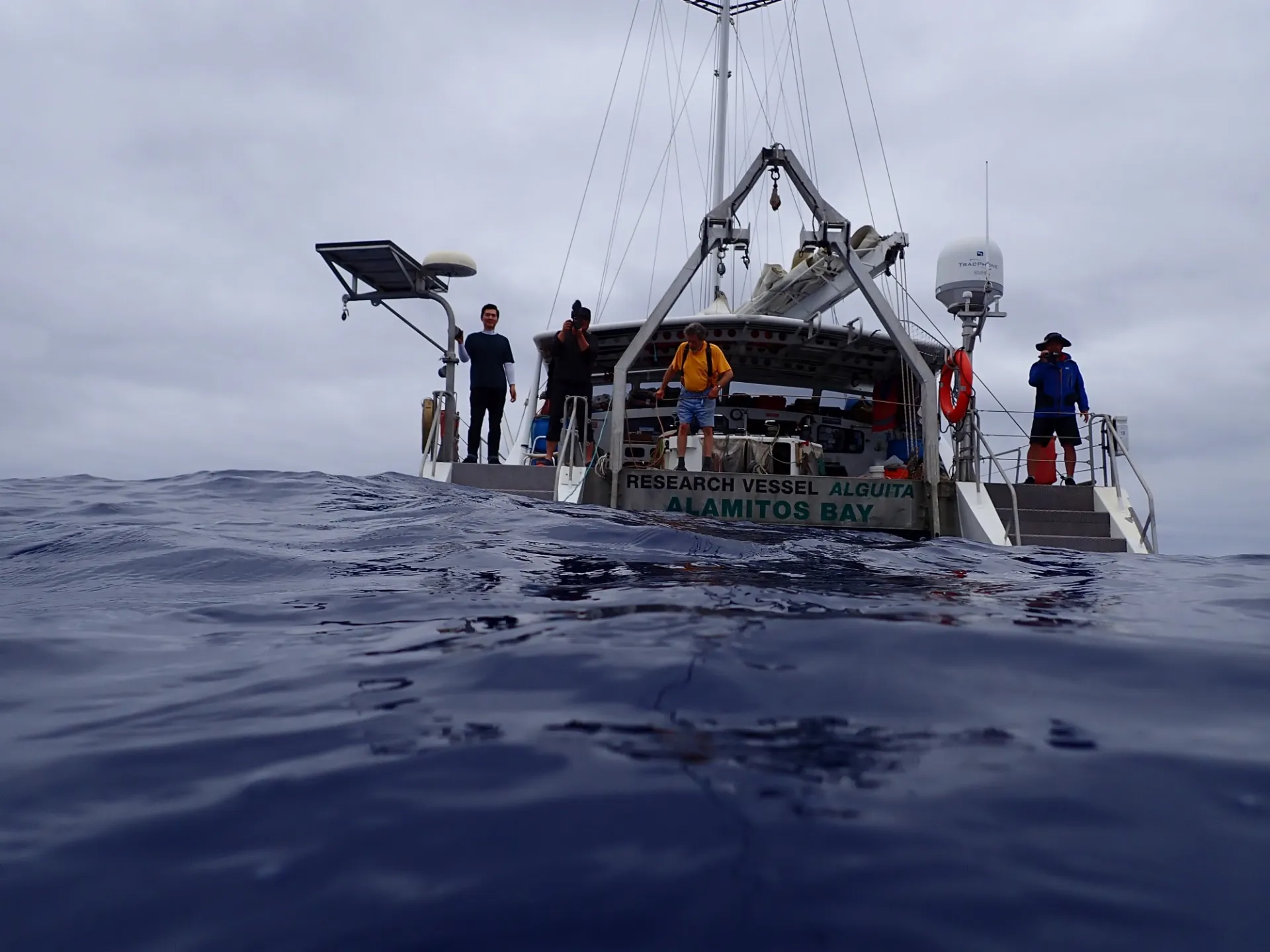 Swimming Offshore North Pacific Trash Gyre   Marty Klein.JPG