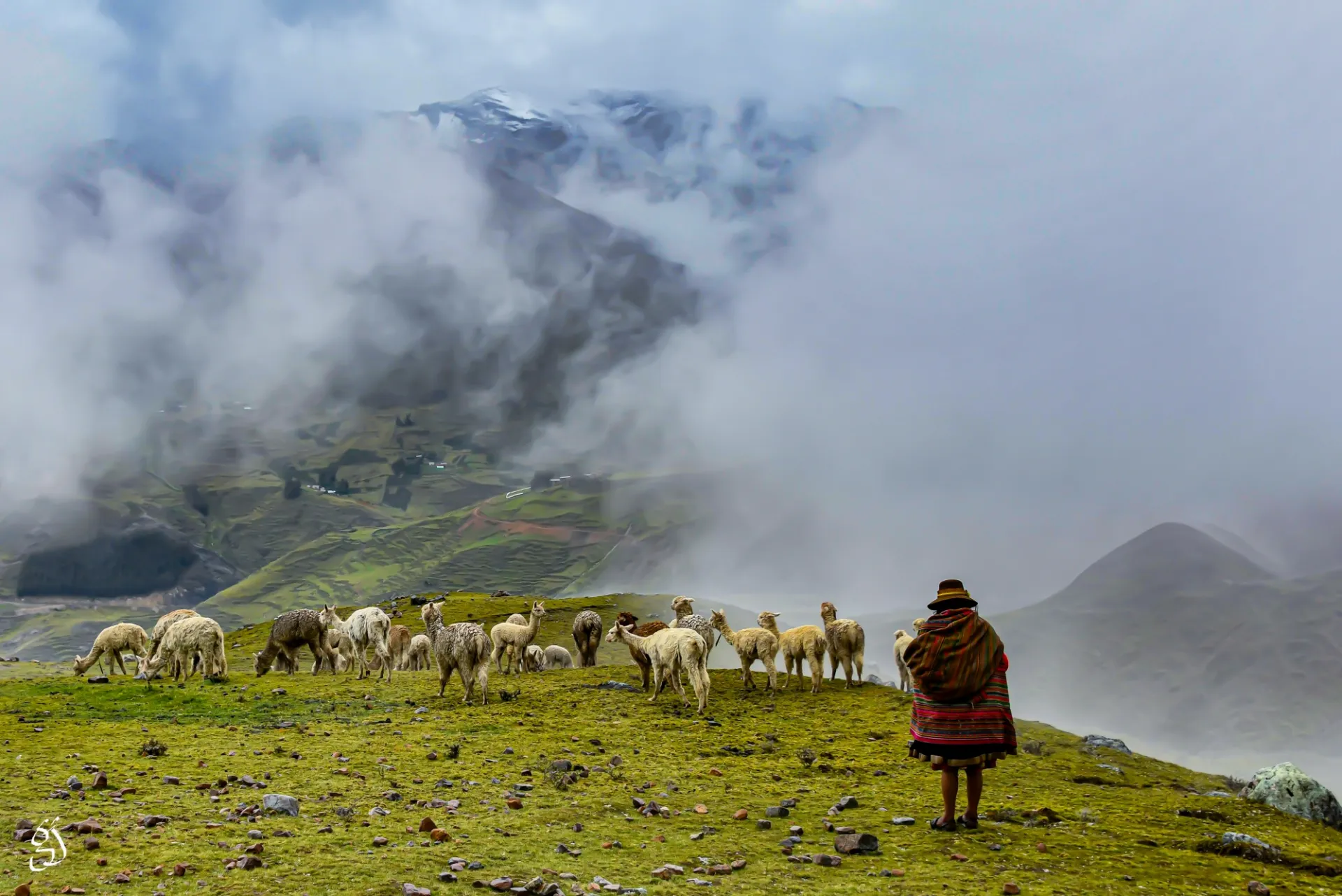 Shepherdess In The Highlands Of Peru   Gautam Jain.JPG