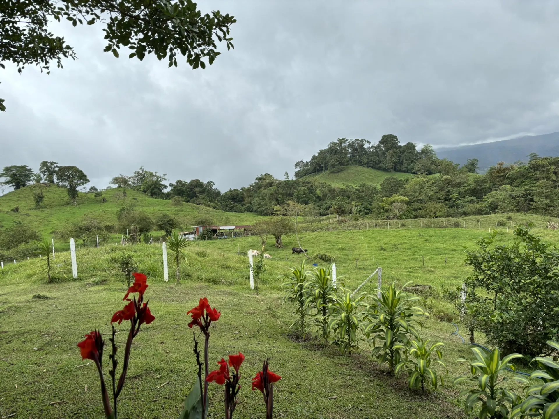 Farm Land On The Flank Of Poás Volcano In Costa Rica Kevin Krajick.JPEG