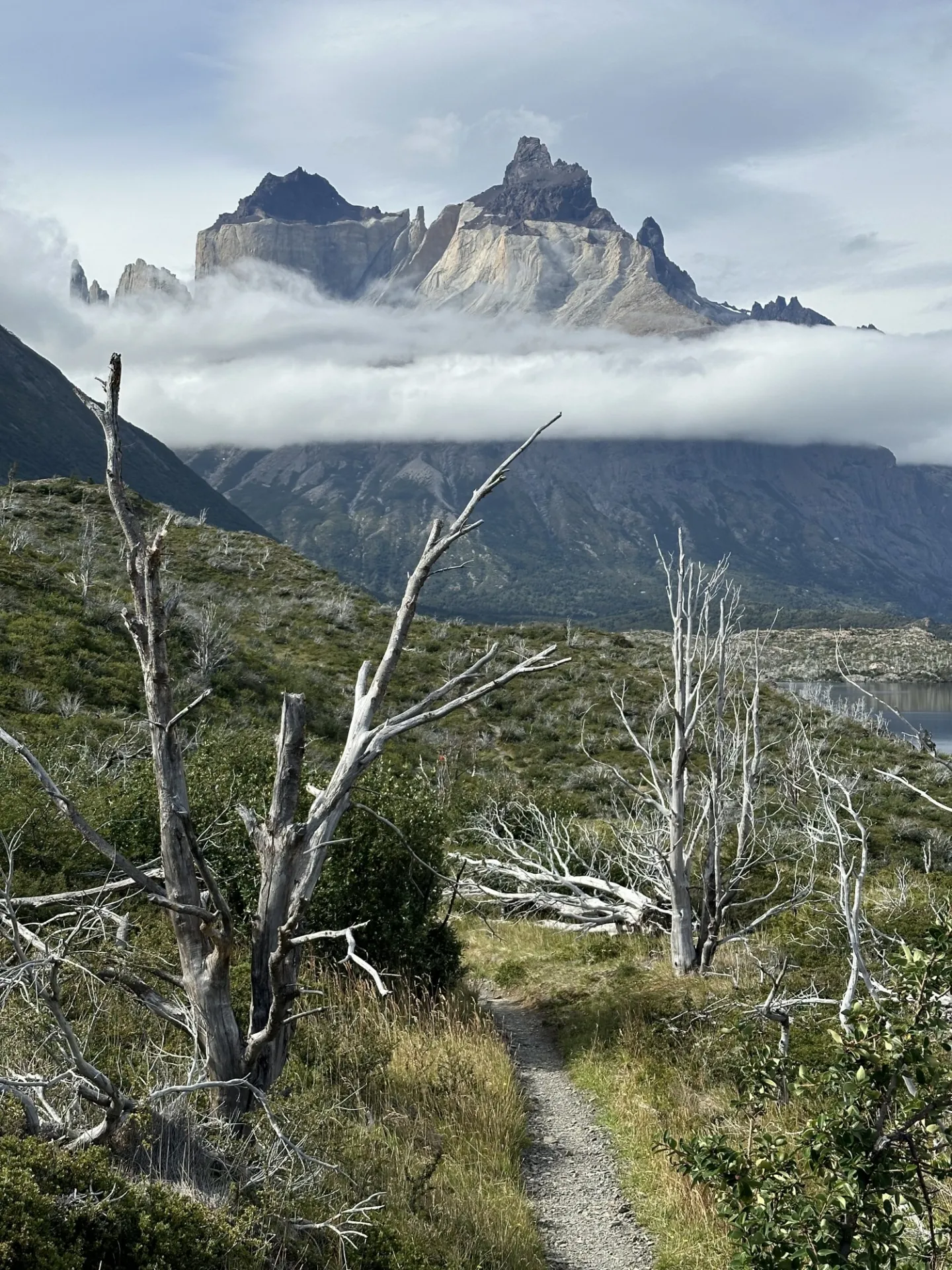 Los Cuernos In Torres Del Paine National Park In Chile  Josephine Parr.jpeg