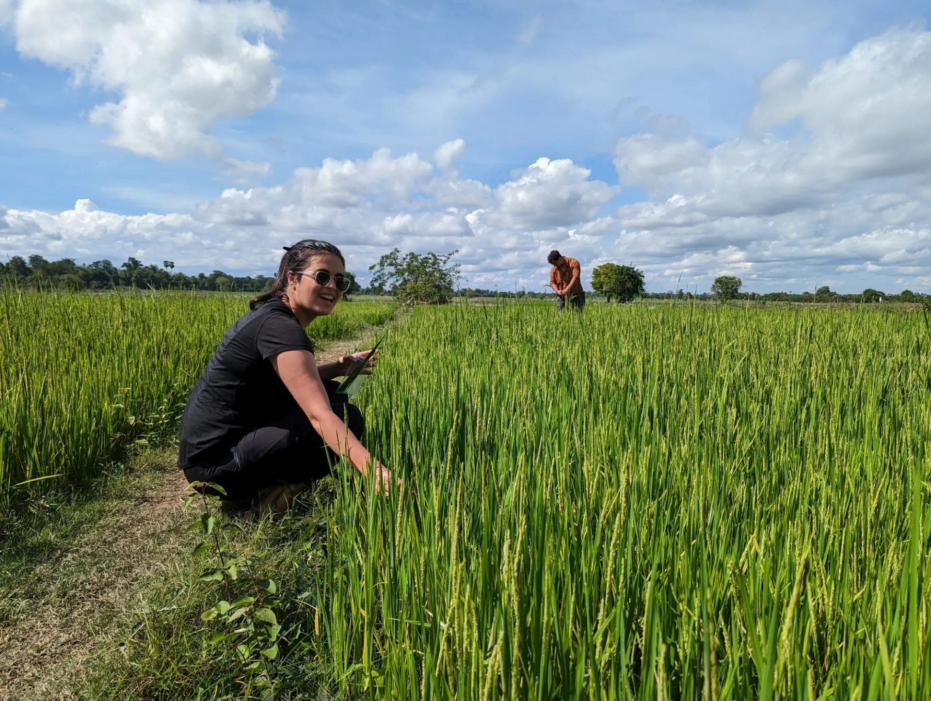 Studying Rice Paddy Soils In Cambodia Benjamin Bostick.jpg