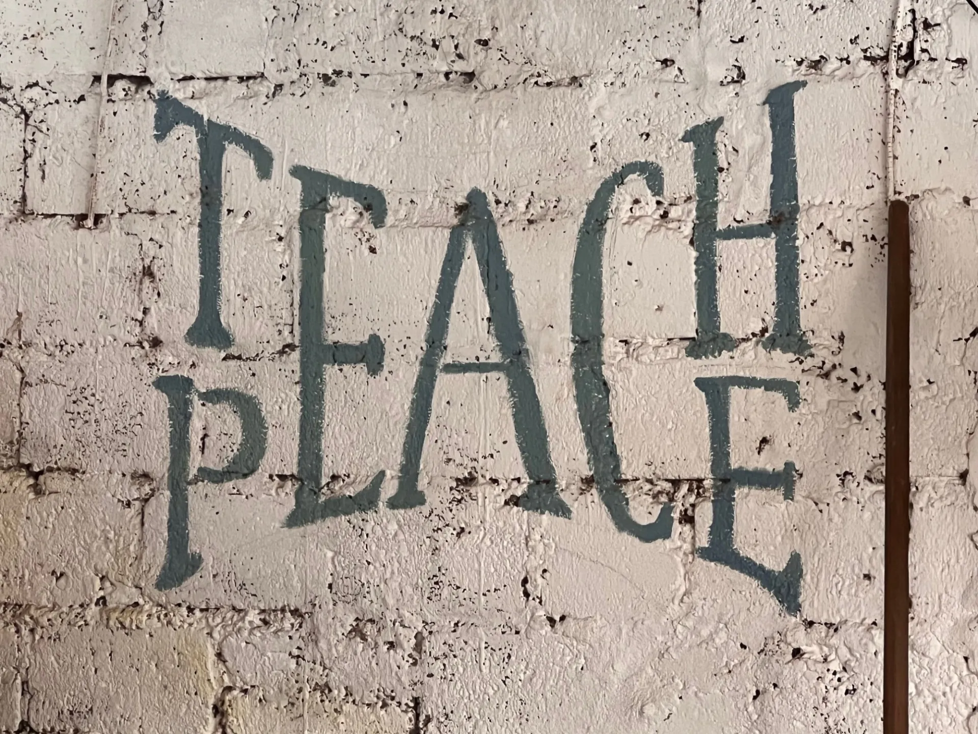 Teach Peace Josh Fisher.jpg
