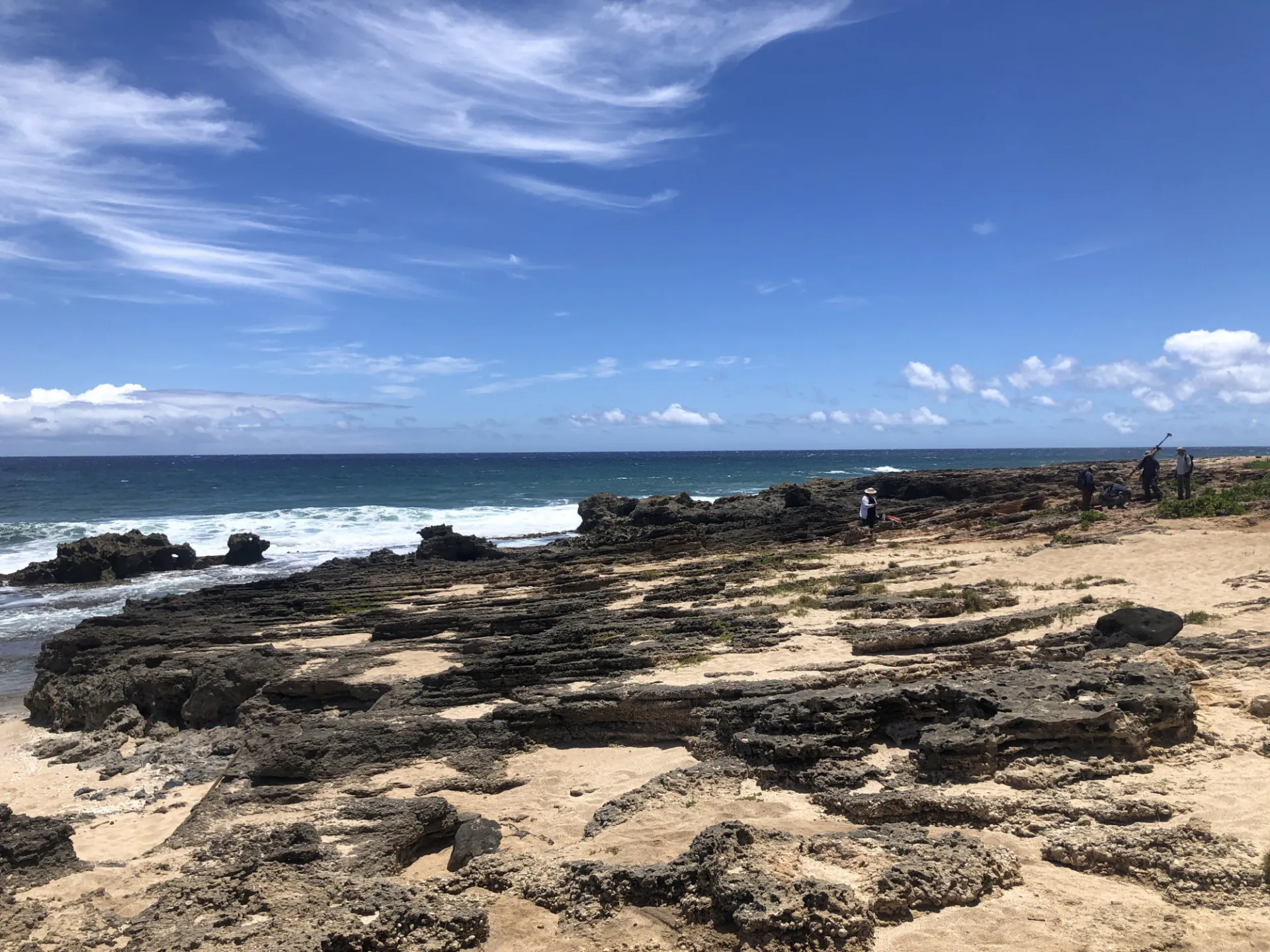 Last Interglacial Beach Unit Oahu Jacqueline Austermann.JPG