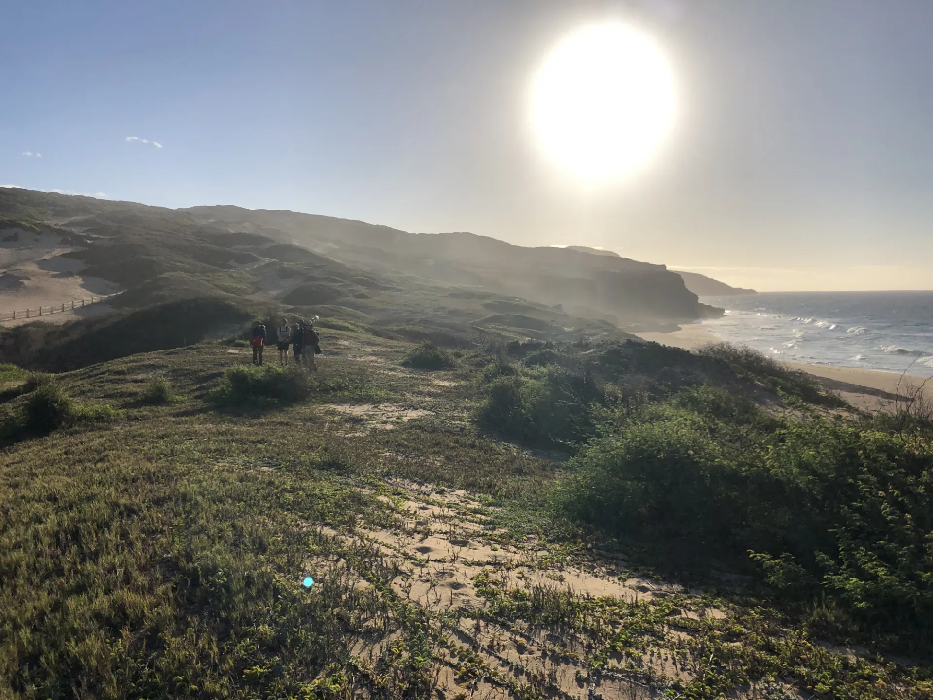 Modern And Paleo Dunes Molokai Hawaii Jacqueline Austermann.JPG