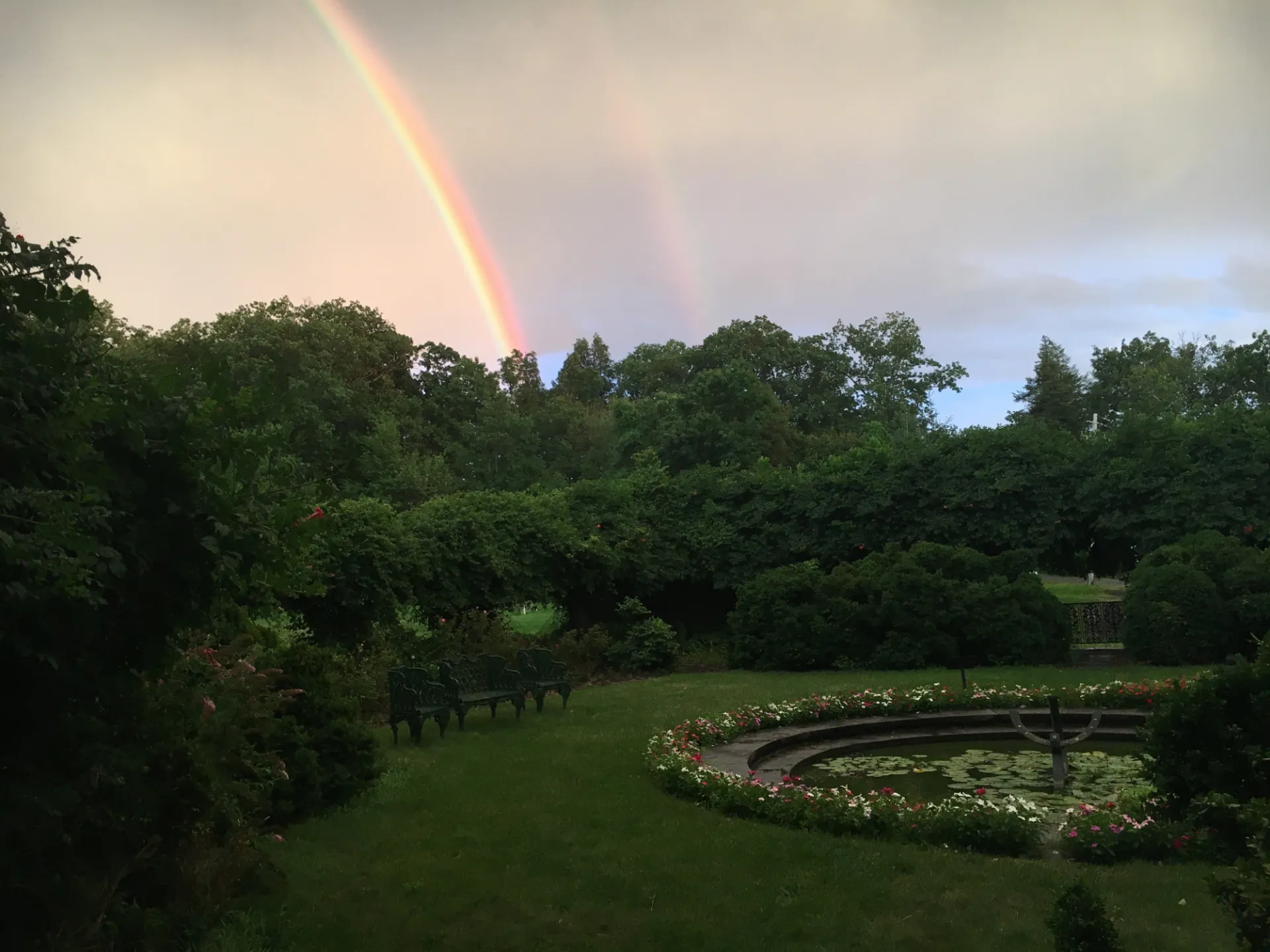 Rainbow Over The Rose Garden Caroline Leland.JPG