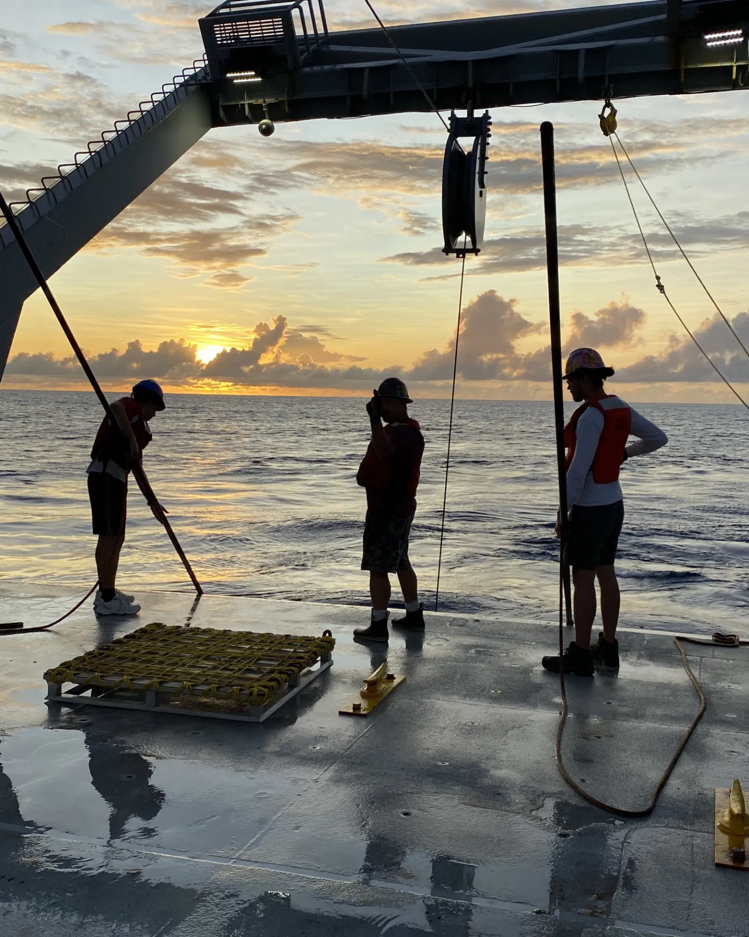 BLOOFINZ Research Cruise On Board The Roger Revelle Joaquim Goes 4x5.jpg