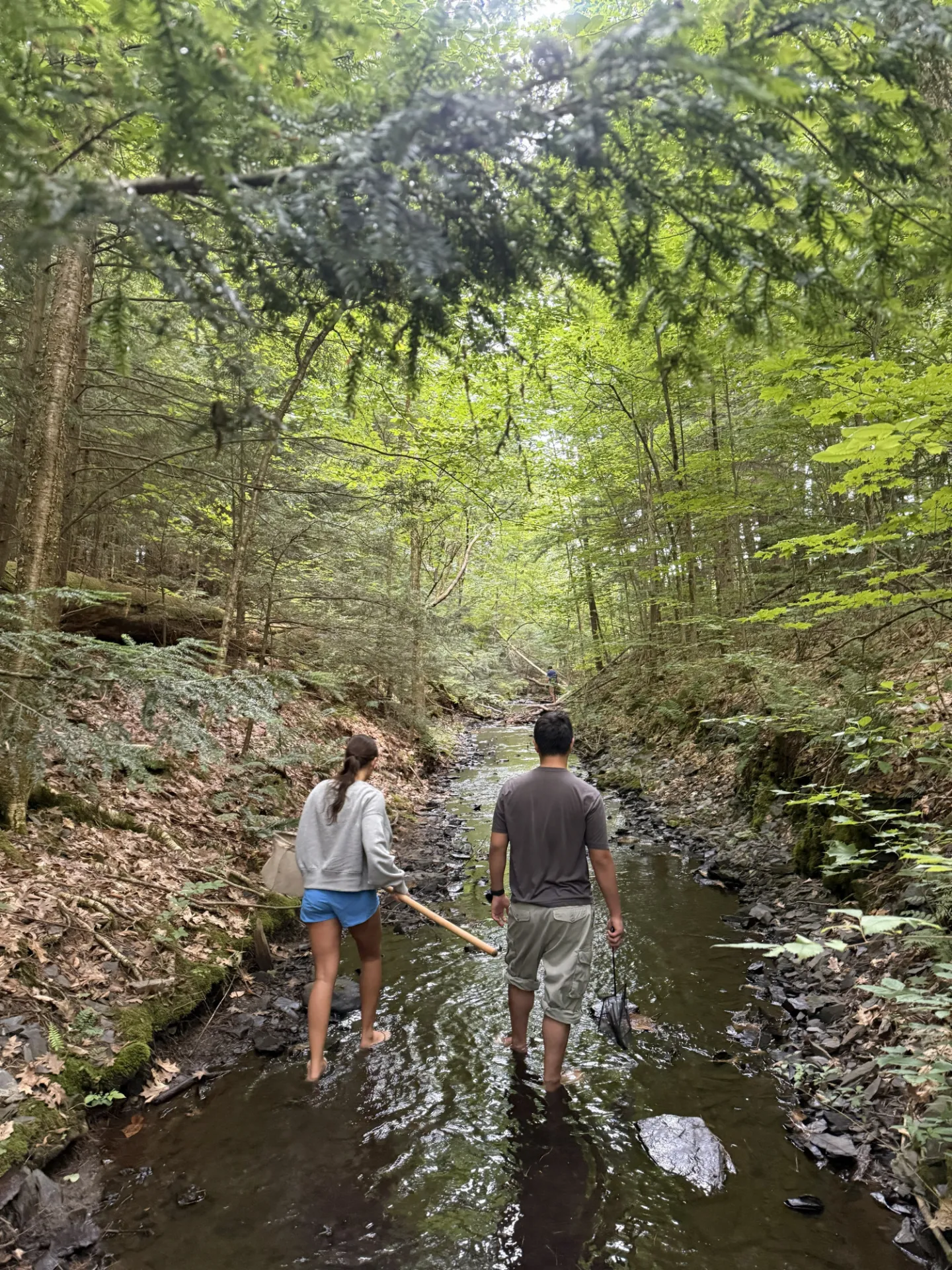 Columbia Climate School In Green Mountains Students Conduct A Biological Survey To Assess Local Water Quality Laurel Noelani Reiko Zaima.jpg