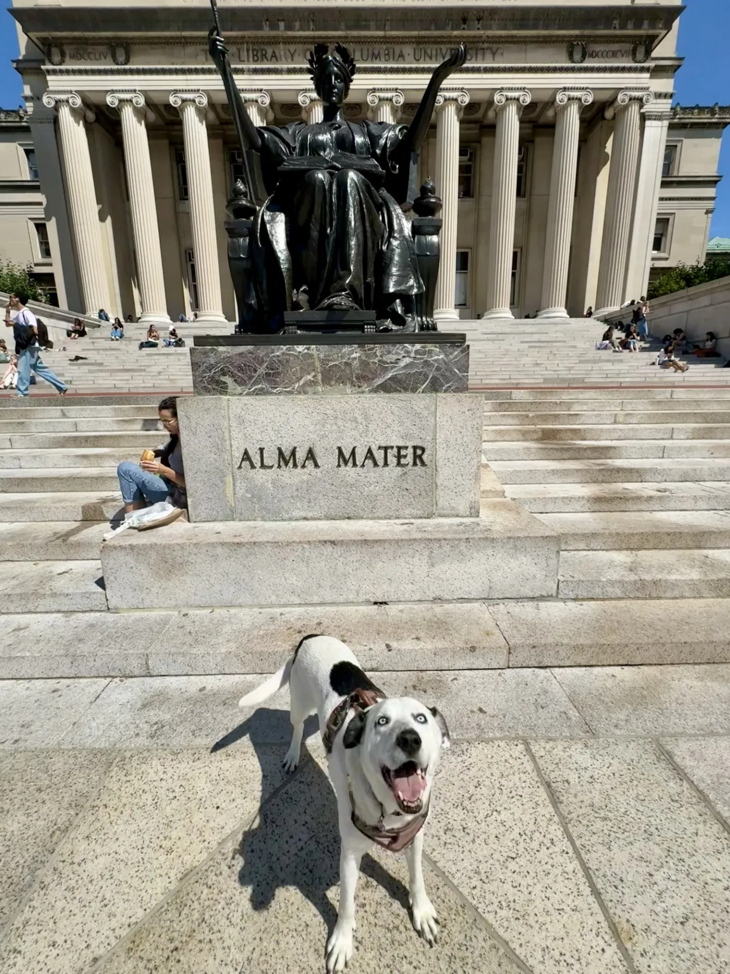 Cornelius In Front Of Alma Mater Amara Patrice Leazer.jpg