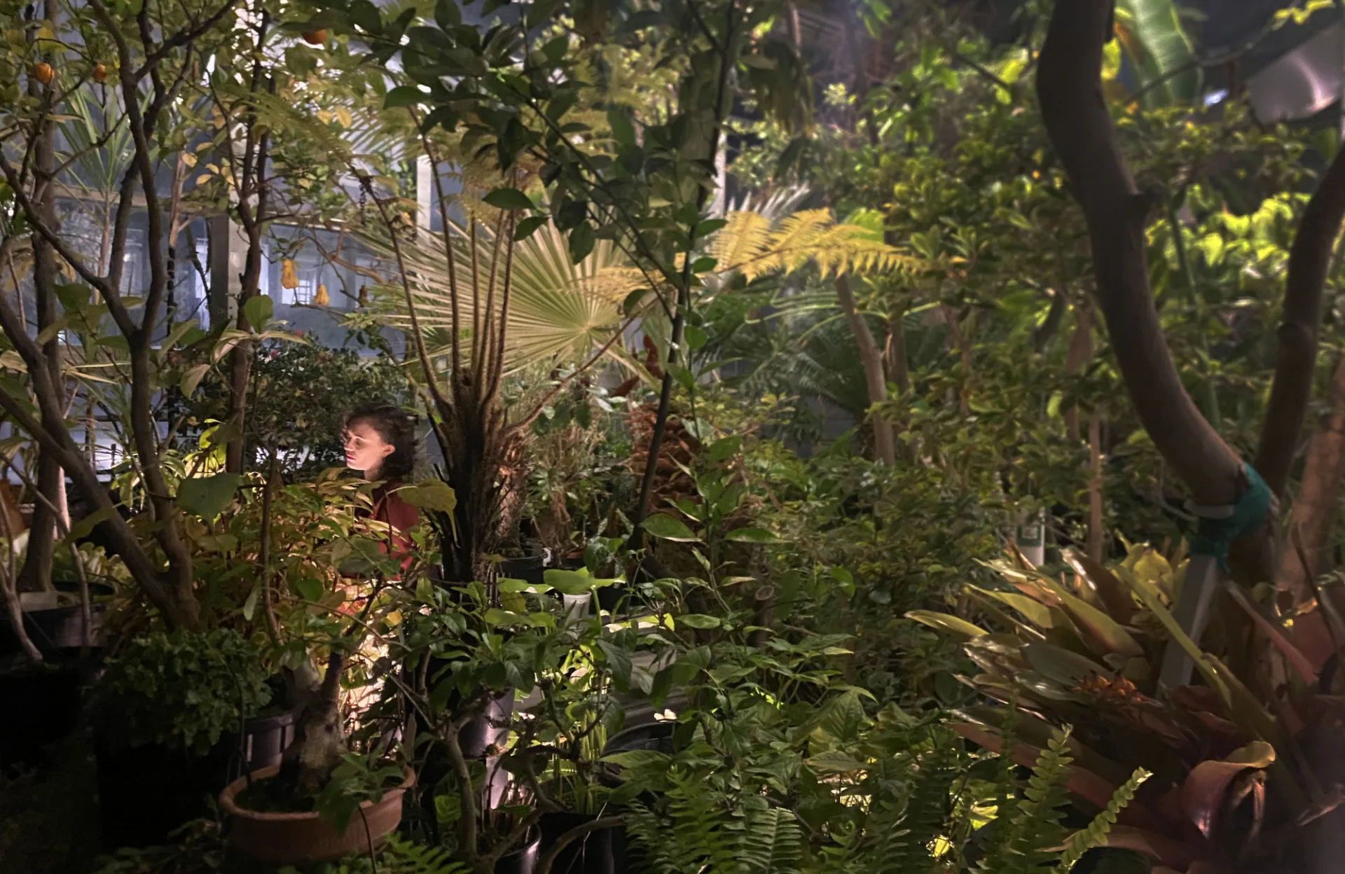 Fefu And Her Friends By Maria Irene Fornes Set In The Arthur Ross Greenhouse At Barnard College Sandra Goldmark.jpg