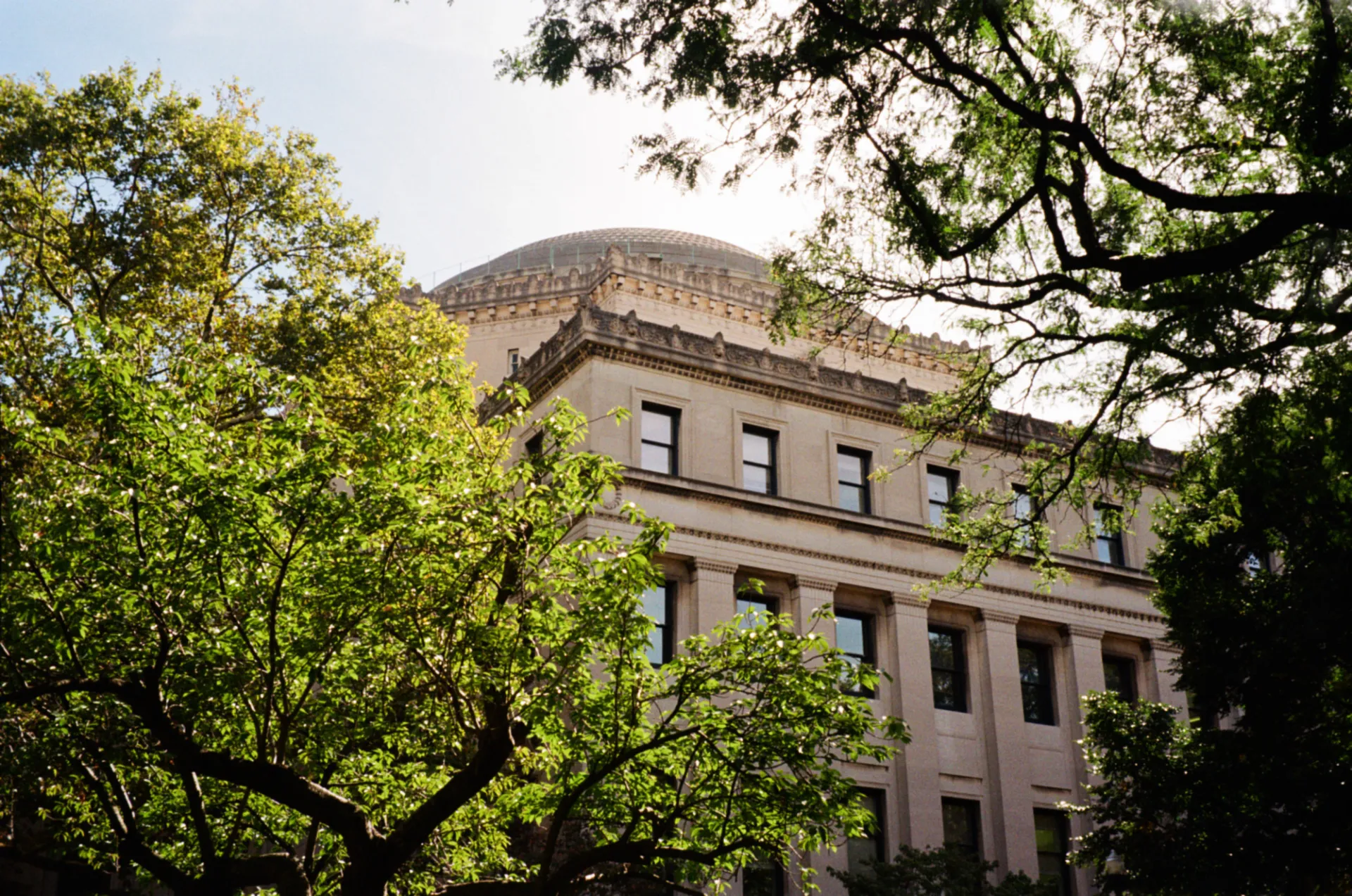 Low Library Erin Frank.JPG