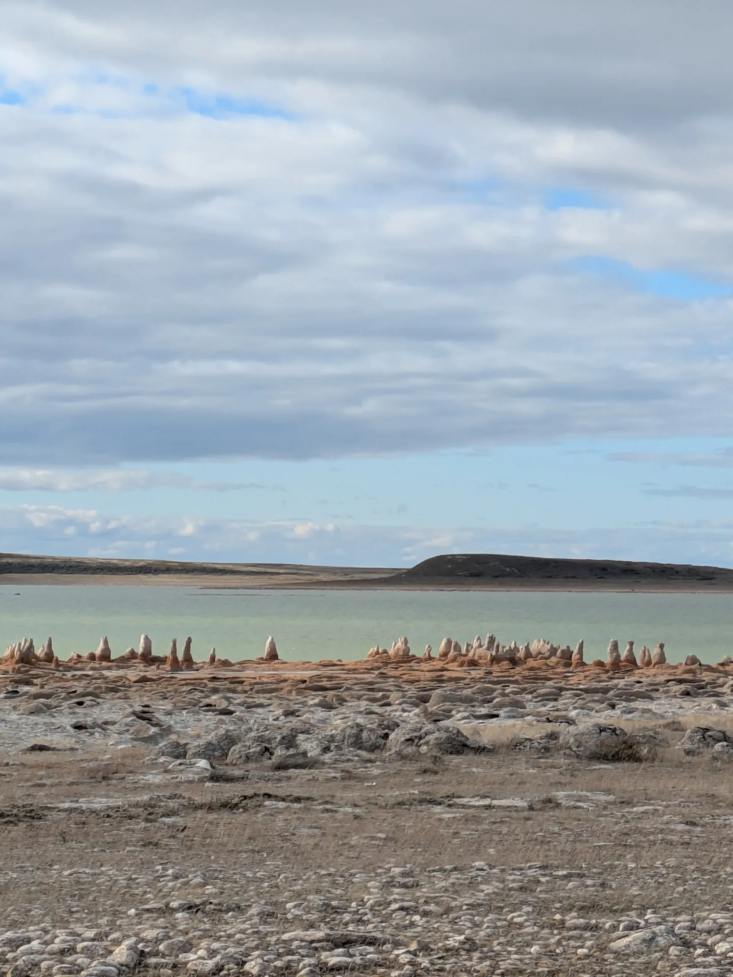 Stromatolites Tierra Del Fuego Province Chile Larissa Beatriz Souki.jpg