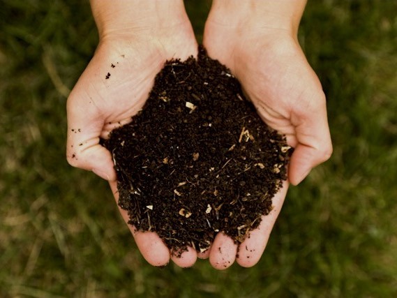 Hands holding compost