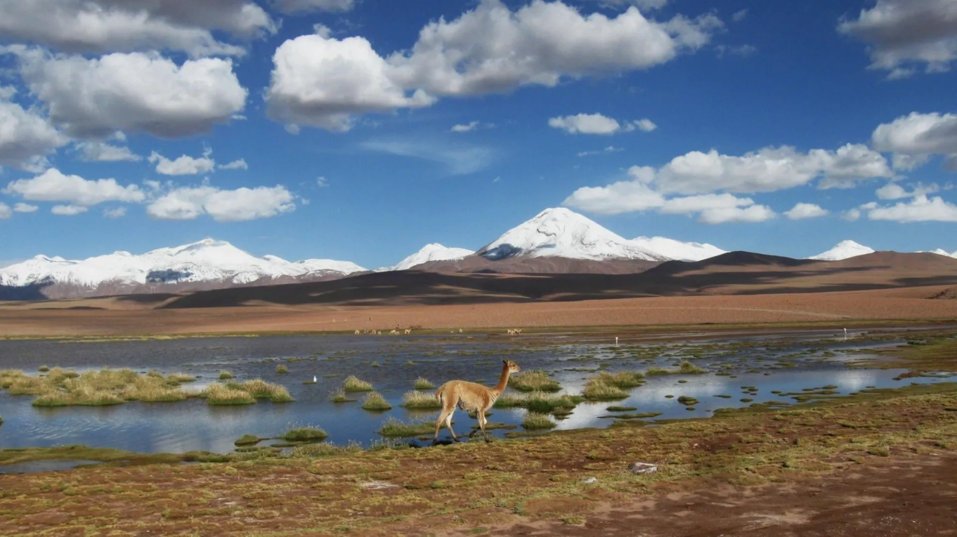 Distant Volcanoes In The Altiplano Of Northern Chile   Yves Moussallam.jpg