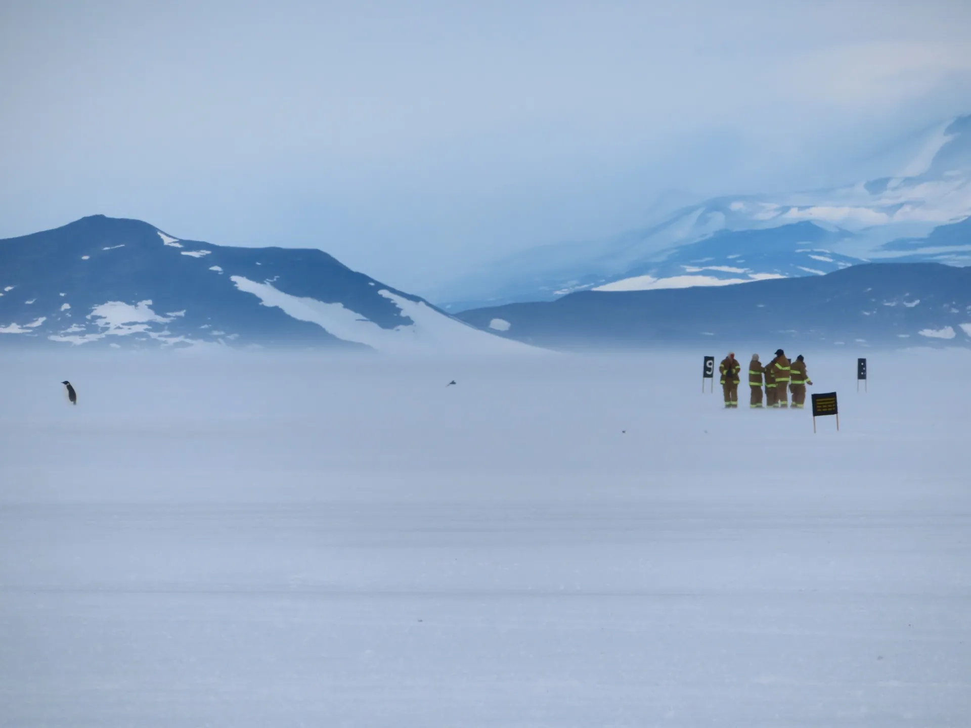 EI LDEO 20190201 McMurdo Antarctica Lamp18.JPG