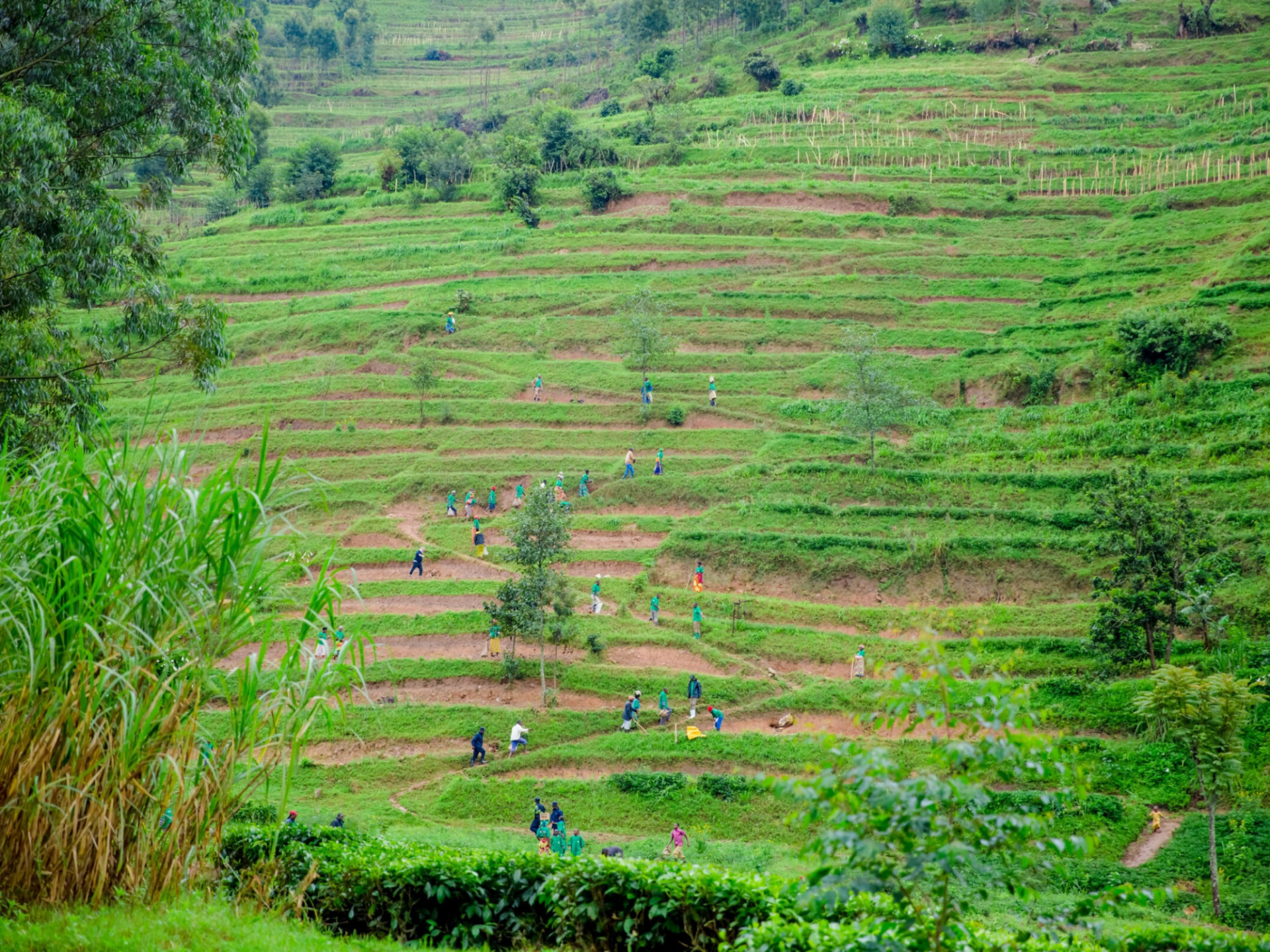 A Green Climate Fund project increases the climate resilience of Northern Rwanda. Credit: Rwanda Green Fund