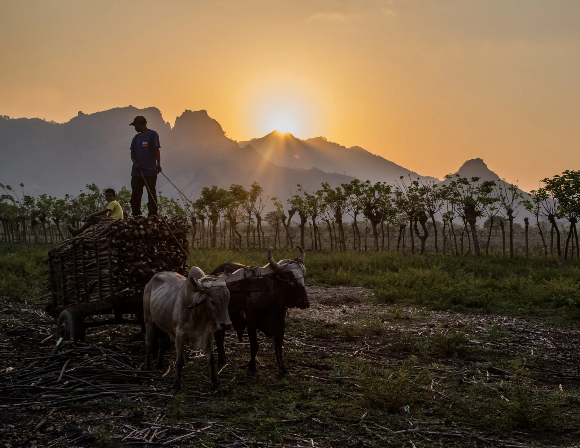 Honduras Farmers.jpg