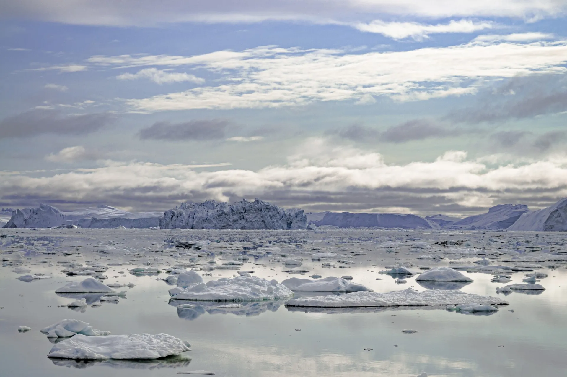 Icebergs Outside The Town Of Ilulissat, Greenland   Marco Tedesco.jpg