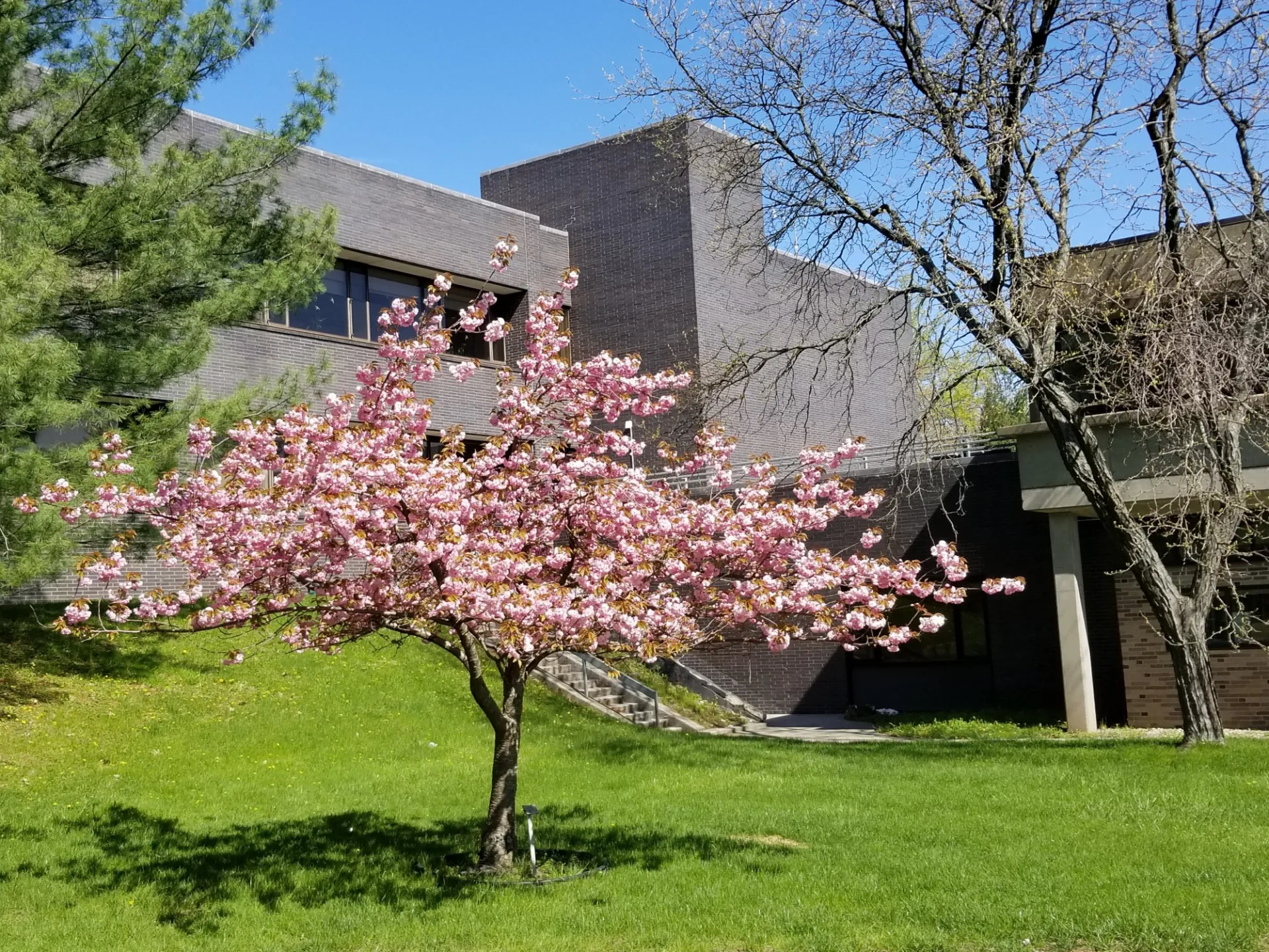 Lamont Geoscience Building   Photo By William Menke.jpg