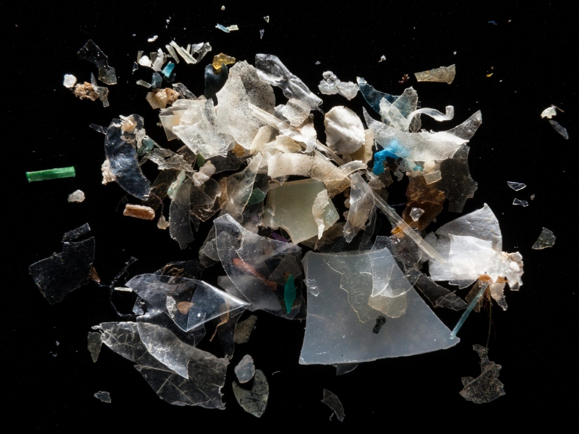 Microplastics in the Chesapeake Bay Watershed. Photo: Chesapeake Bay Program