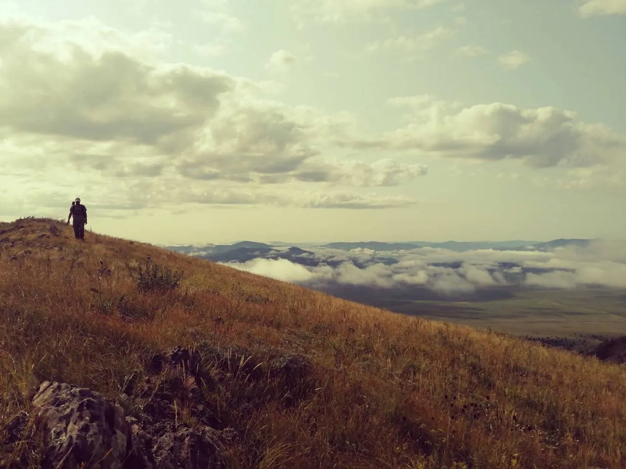 Mukund Rao Searching For Old Trees For Dendrochronology In The High Elevations Of Bulgan, Mongolia In July 2019   Mukund Palat Rao.jpg