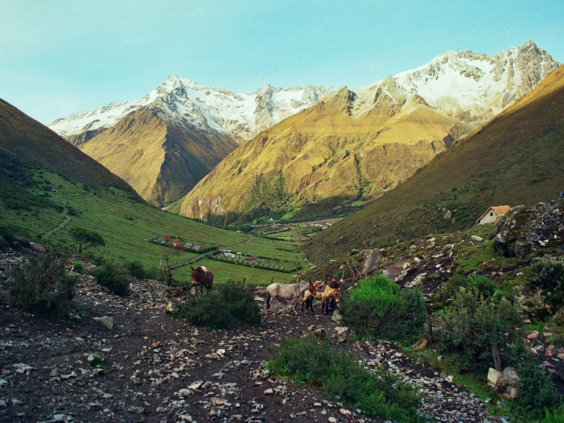 Peruvian Andes, November 2025, on Leica R4, 35mm. Credit: Amelia Markes, MPA in Environmental Science & Policy