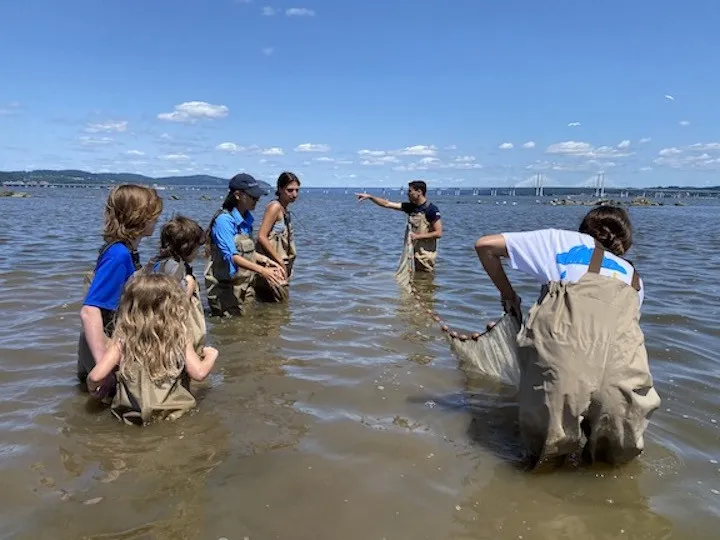 Group of young people seining in the Hudson River