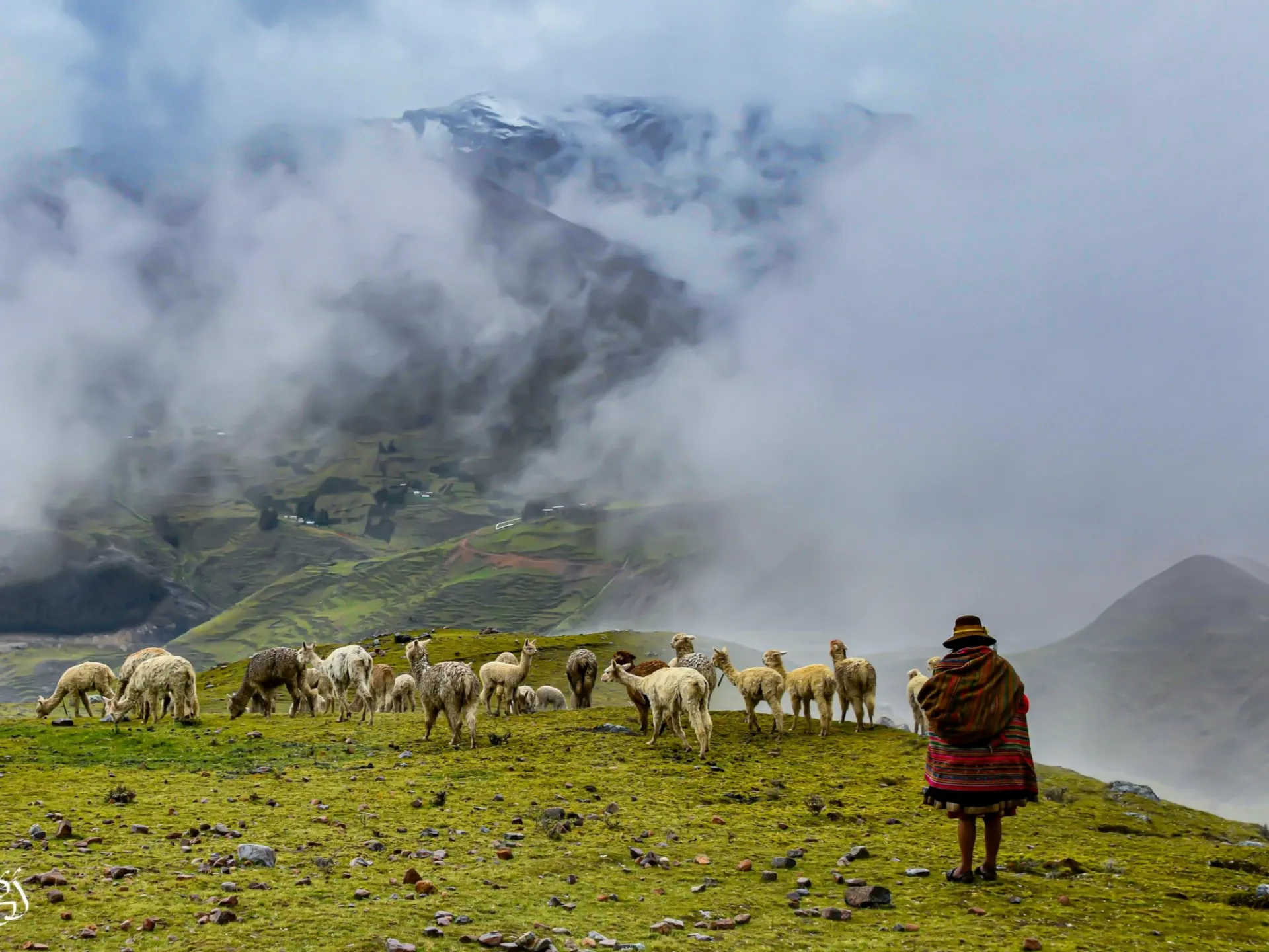 A shepherdess watches over her herd of alpacas in the Peruvian Andes in the Sacred Valley as a fog, which is a common occurrence during the wet season, engulfs part of the mountains. This picture was taken in March 2019. Credit: Gautam Jain, Center on Global Energy Policy