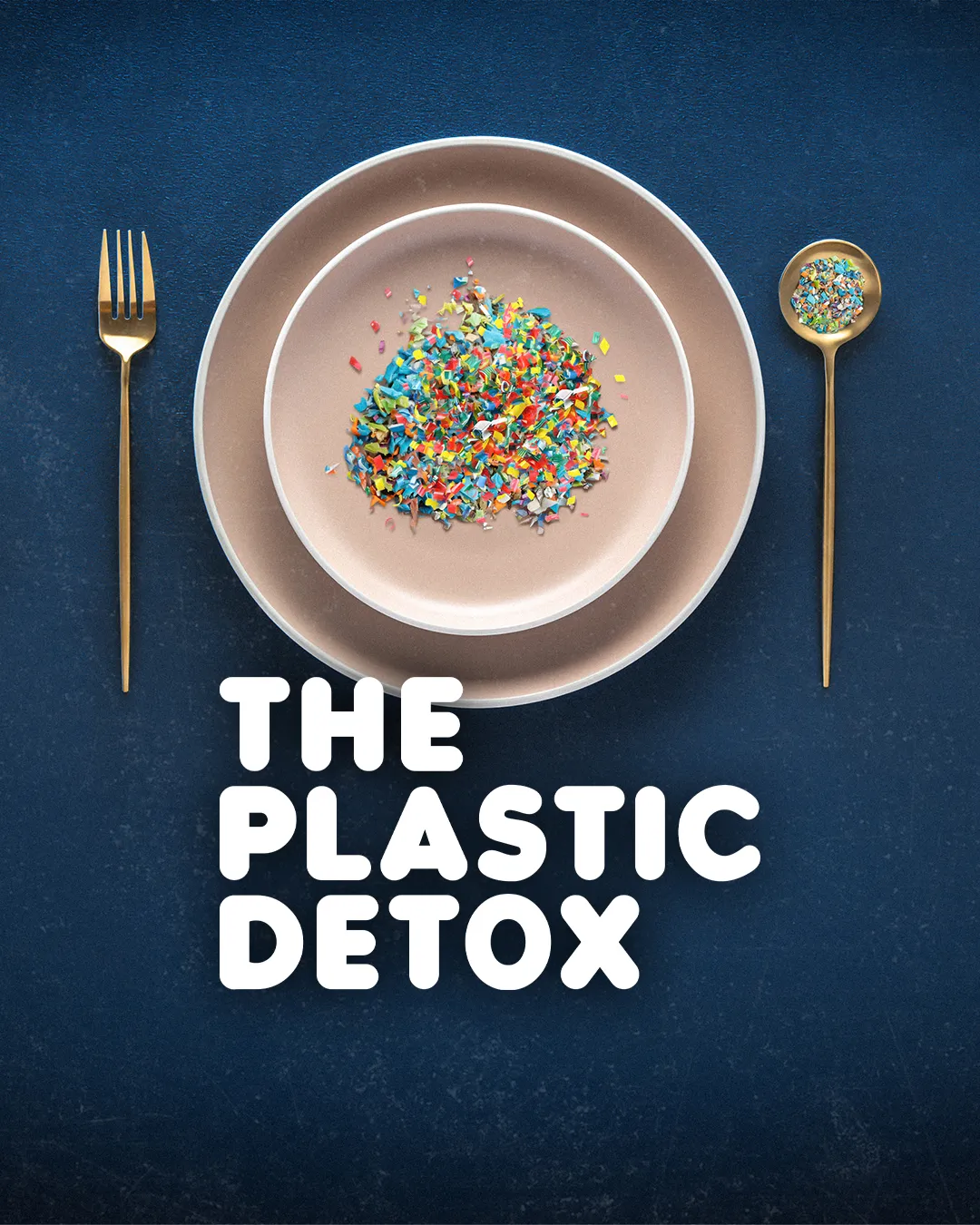 Plastic particles on a dinner plate with the text The Plastic Detox. Credit: The Plastic Detox