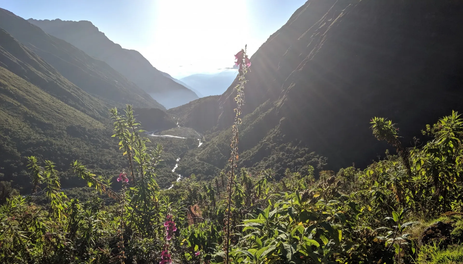 Valley Of Clouds In Madidi National Park, Bolivia (2019)   Rose Oelkers.jpg